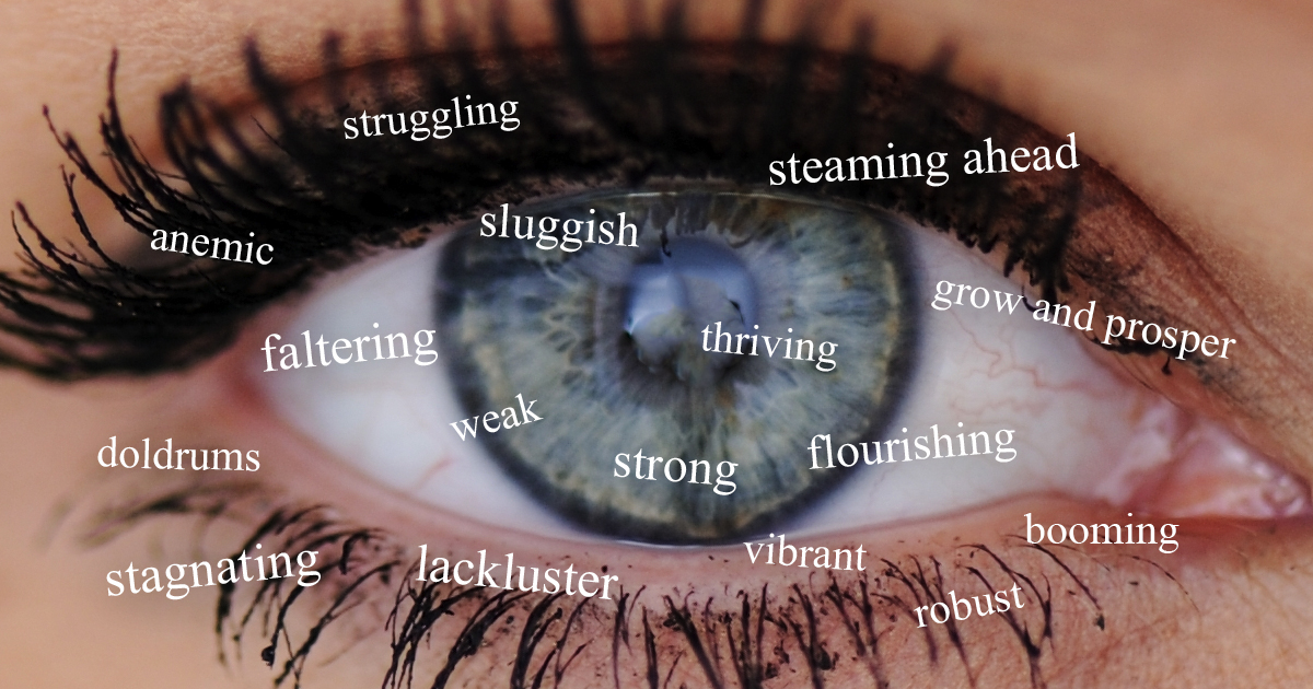 eye and economy descriptors