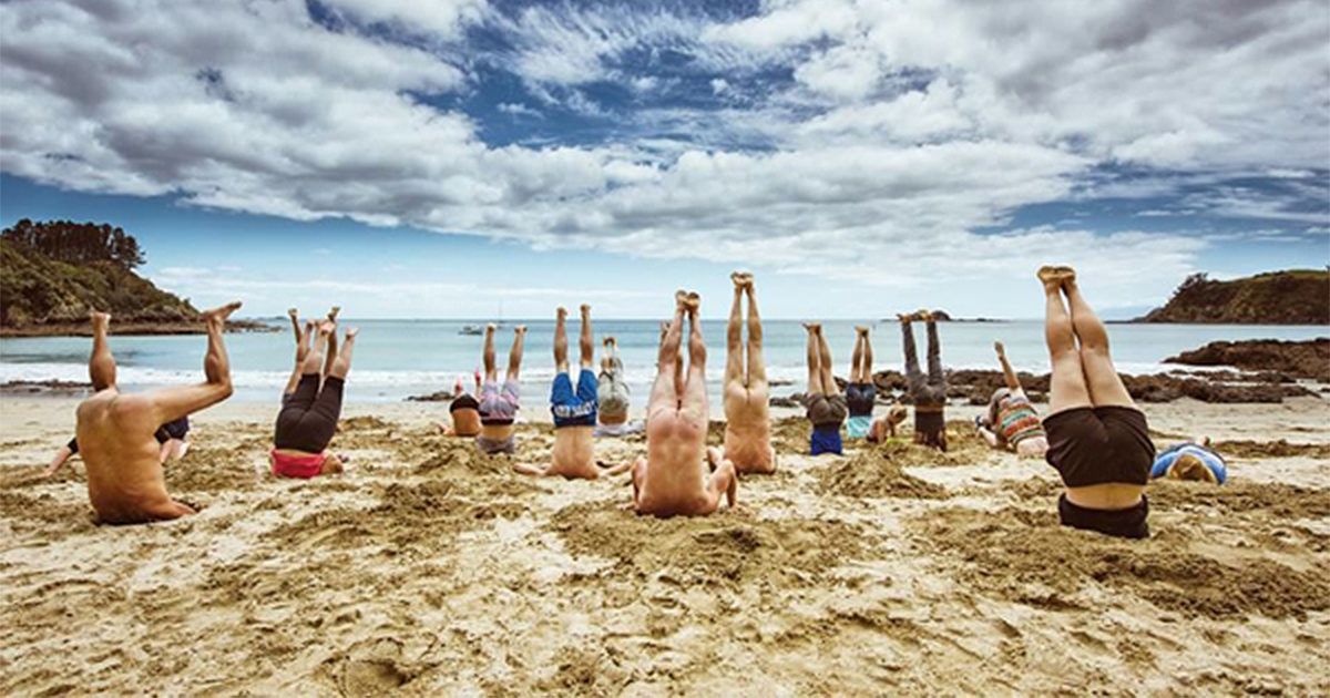 people with head in sand